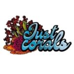 Just corals elementor